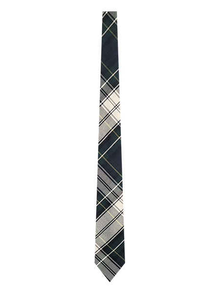 Green Dress Gordon Plaid Tie