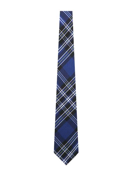 Royal/Navy/White/Gold Plaid Tie