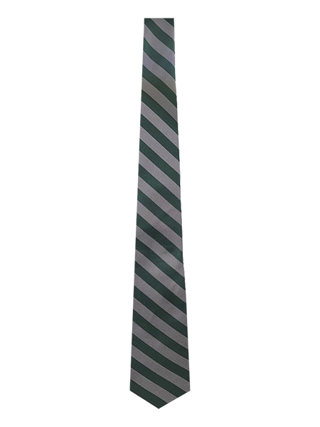 Green/Grey Striped School Tie