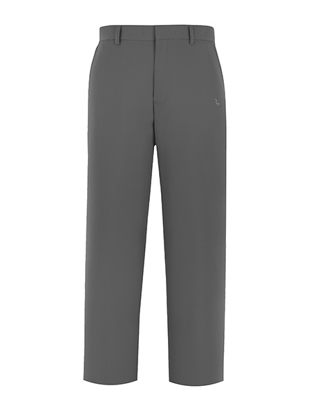 Flat Front Embroidered Dress Pant - Male