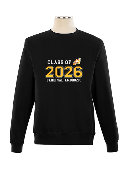 Decorated Crewneck Sweatshirt - Unisex